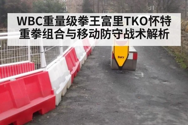 WBC重量级拳王富里TKO怀特重拳组合与移动防守战术解析