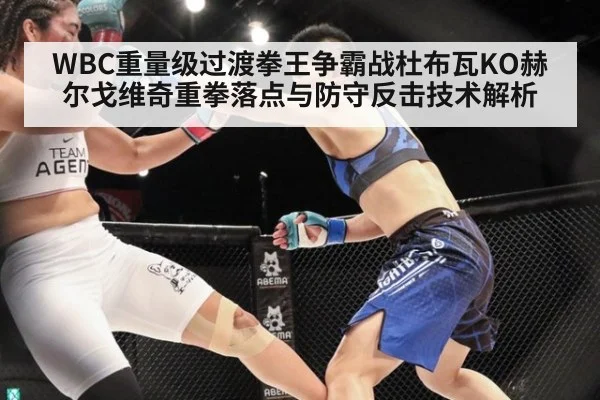 WBC重量级过渡拳王争霸战杜布瓦KO赫尔戈维奇重拳落点与防守反击技术解析