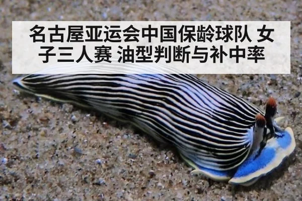 名古屋亚运会中国保龄球队 女子三人赛 油型判断与补中率