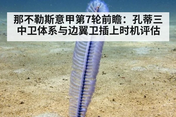 那不勒斯意甲第7轮前瞻：孔蒂三中卫体系与边翼卫插上时机评估